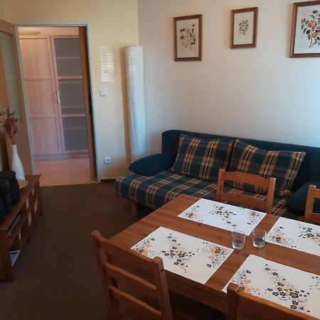 Apartments Rokytka 308 & 405 Rokytnice nad Jizerou Εξωτερικό φωτογραφία