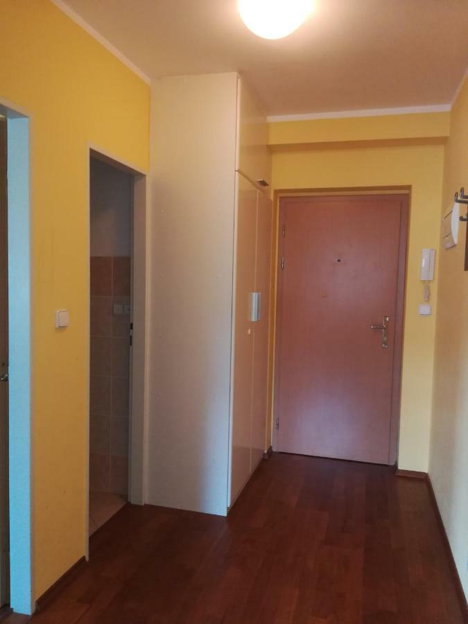 Apartments Rokytka 308 & 405 Rokytnice nad Jizerou Εξωτερικό φωτογραφία